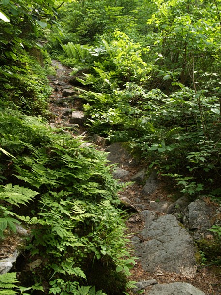 下山道