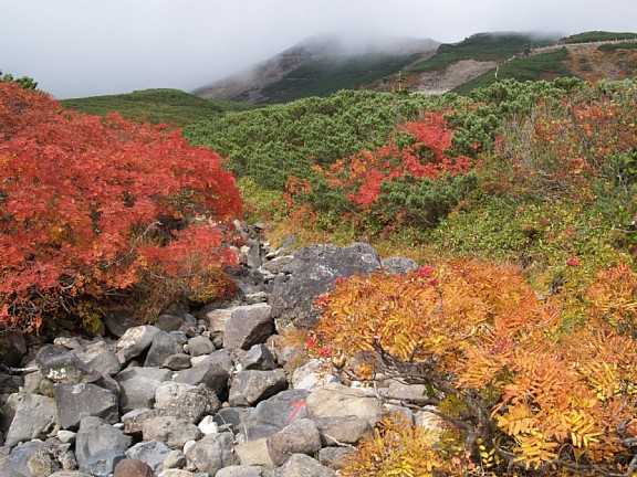 乗鞍岳登山道