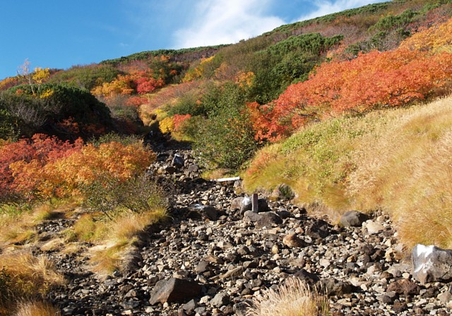 秋の登山道