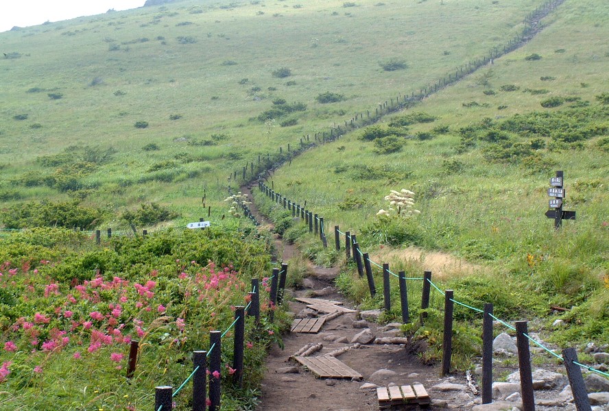 蝶々深山の道