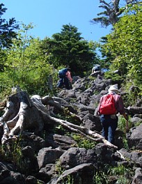 蓼科山への登り