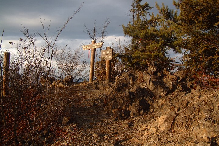 登山道