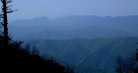 雲取山から富士