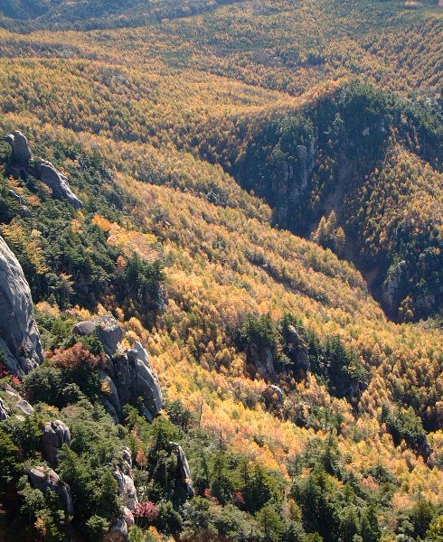 紅葉の山腹