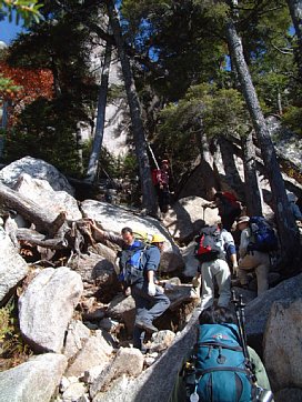 瑞牆山登山道