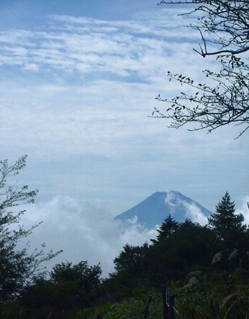 丸川峠から富士