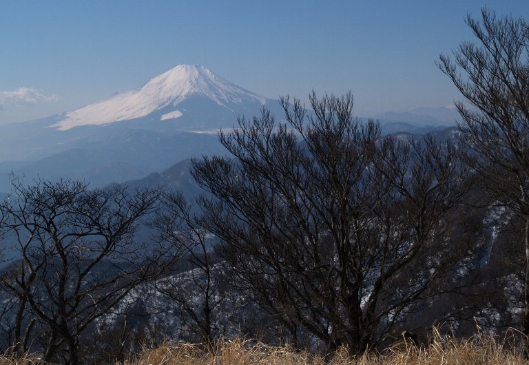 丹沢山頂から富士山