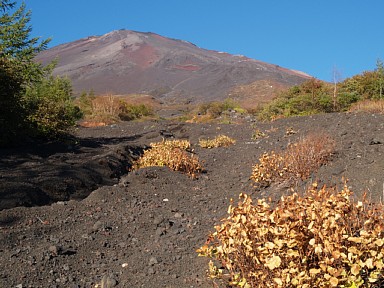 須走登山道・序盤
