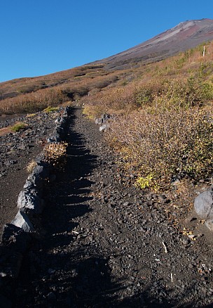 登山道・草原地帯