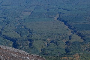 裾野