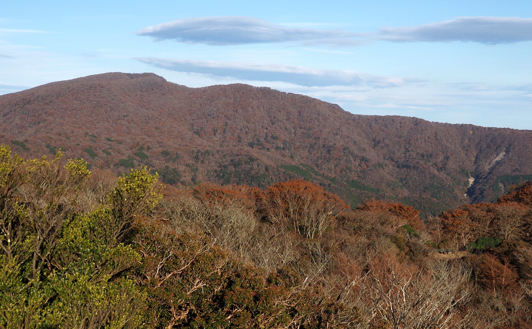 天城山