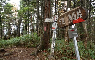 神坂峠分岐