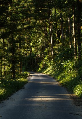 恵那山林道