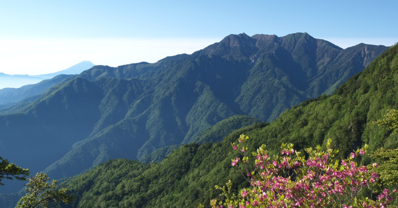 黒戸尾根より鳳凰山