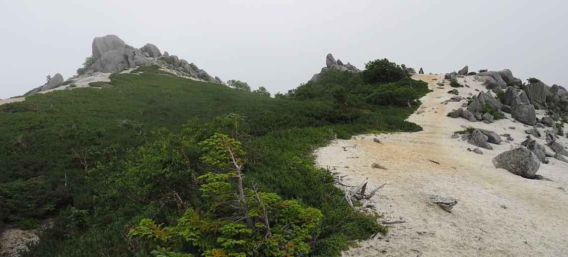 薬師岳山頂部