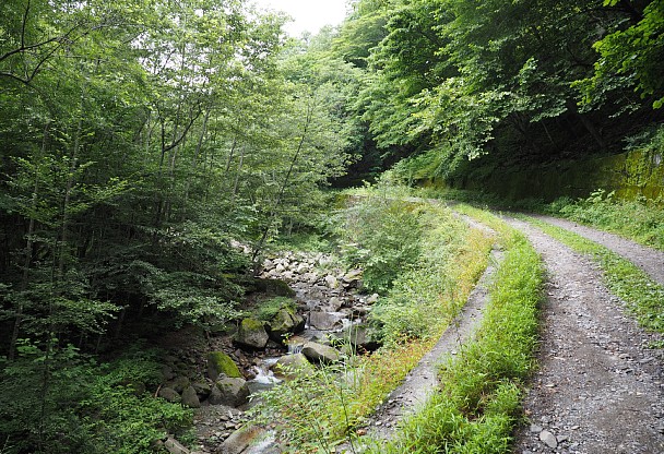 沢沿いの道