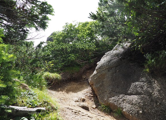 遠い山頂