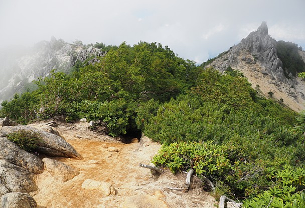 赤抜沢ノ頭山頂部