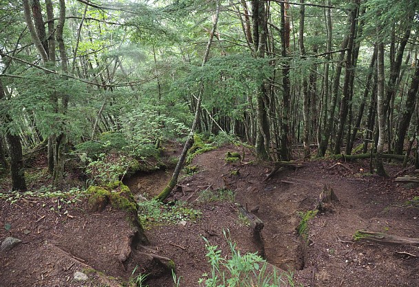 燕頭山東斜面