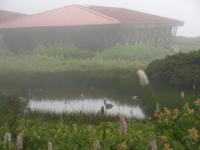 池塘