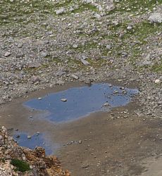油ヶ池