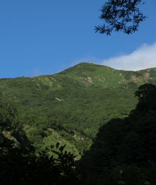 観光新道稜線