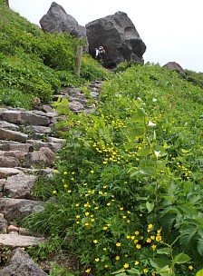 黒ボコ岩