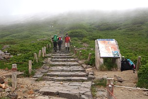 お池めぐりコース分岐