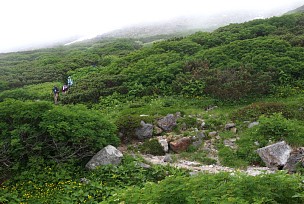 お池めぐりコース