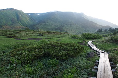南竜湿原