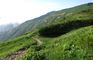 小池