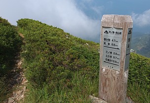 道標