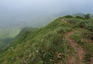 三ノ峰西尾根