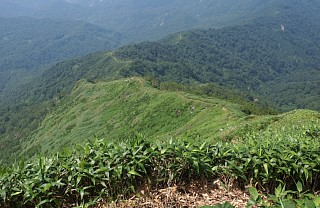 稜線漫歩