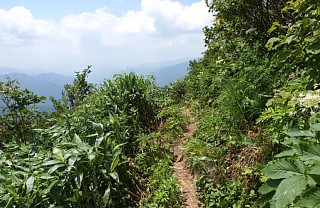 平坦