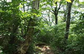 下山道