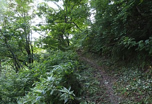 自然研究路