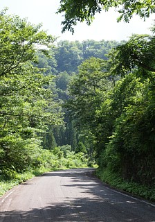 車道