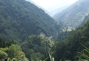 前方確認