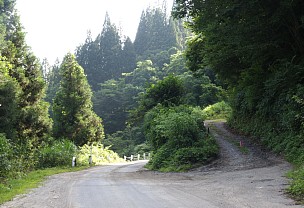 林道分岐
