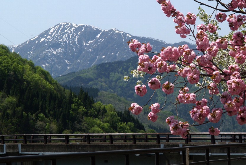 荒島岳