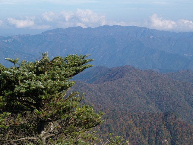 大台ヶ原