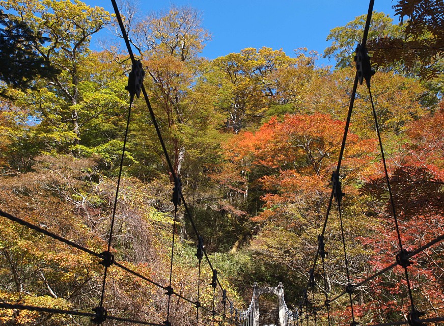 シオカラ谷