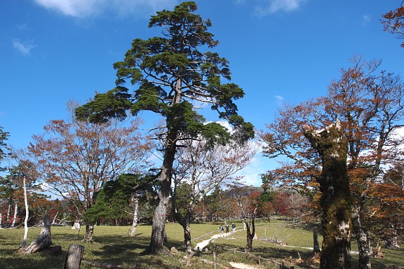 牛石ヶ原