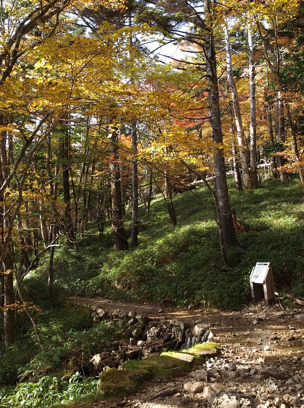 登山道