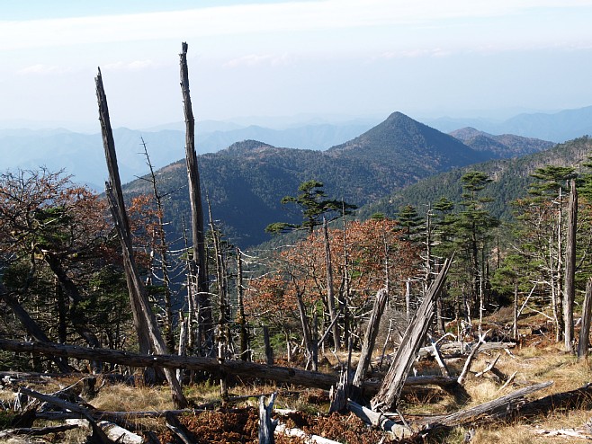 頂仙岳