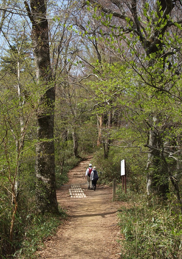 登山道