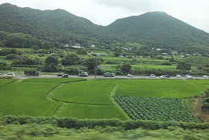 青山
