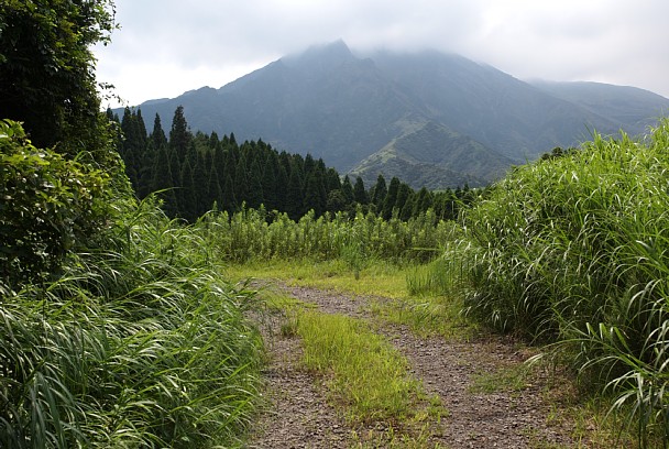 高岳を補足