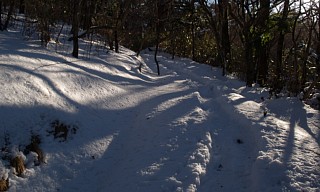 雪道